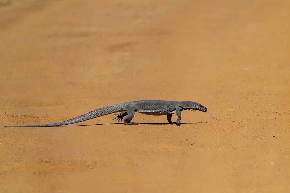 Photograph by Sergey Puponin