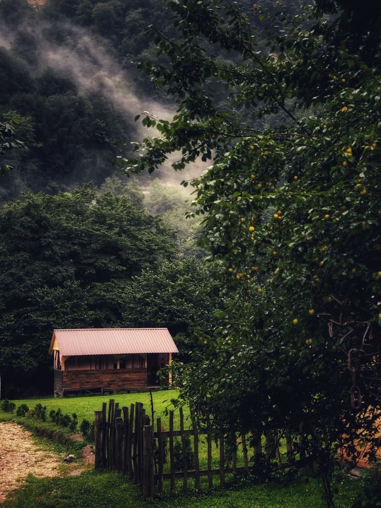 Photograph by Людмила Евстратова