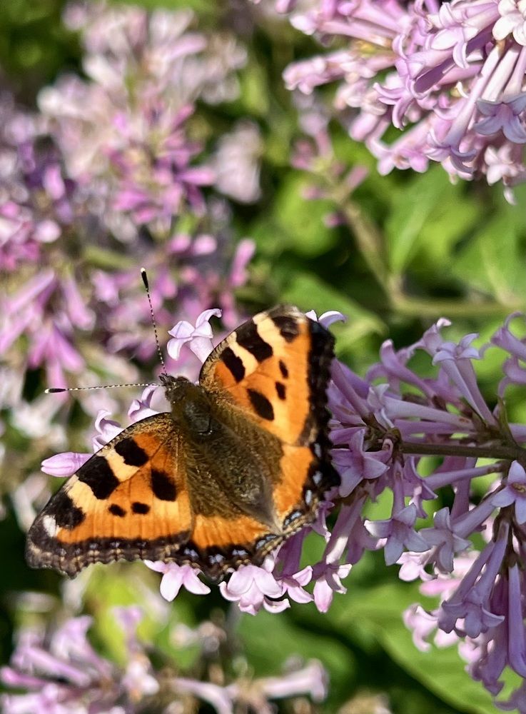 Photograph by Марина Нагичева