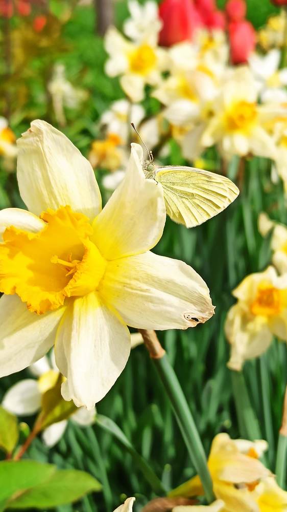 Photograph by Марина Подольная