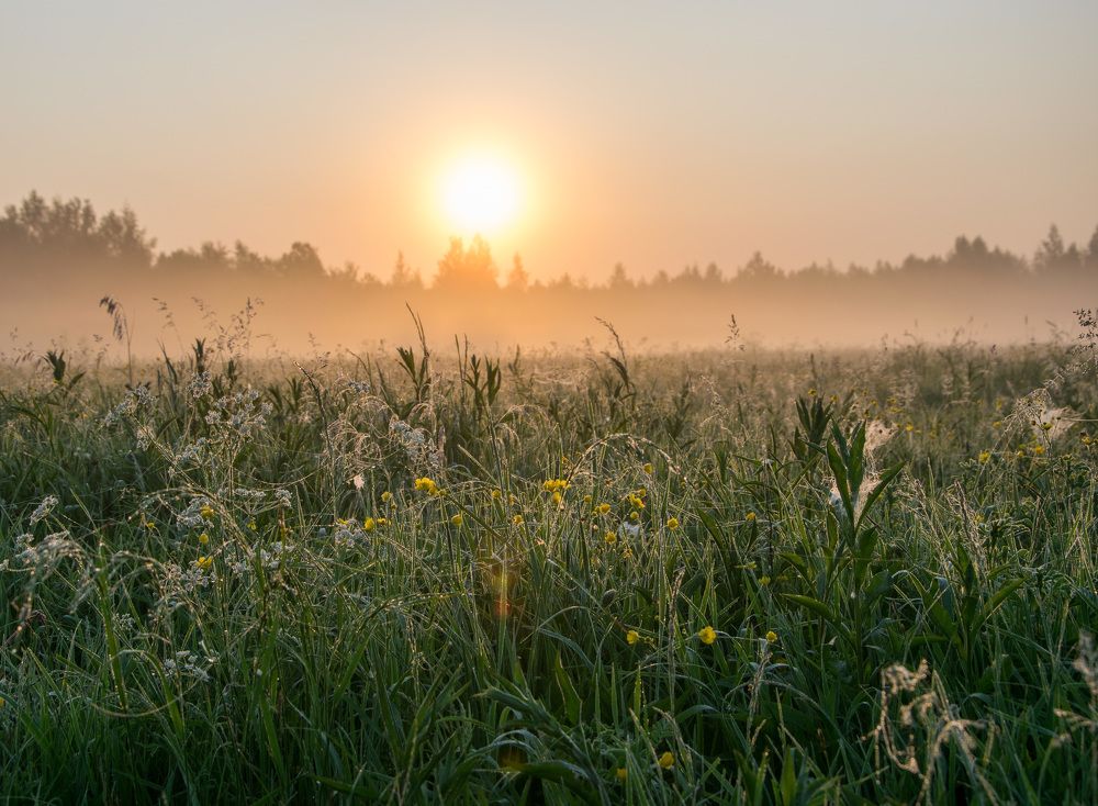 Солнце встает