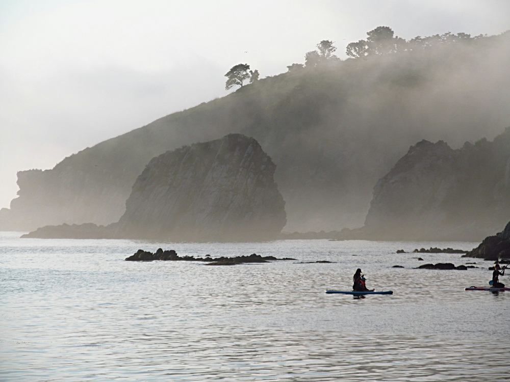 Бухта Прозрачная, Море, Сапы.