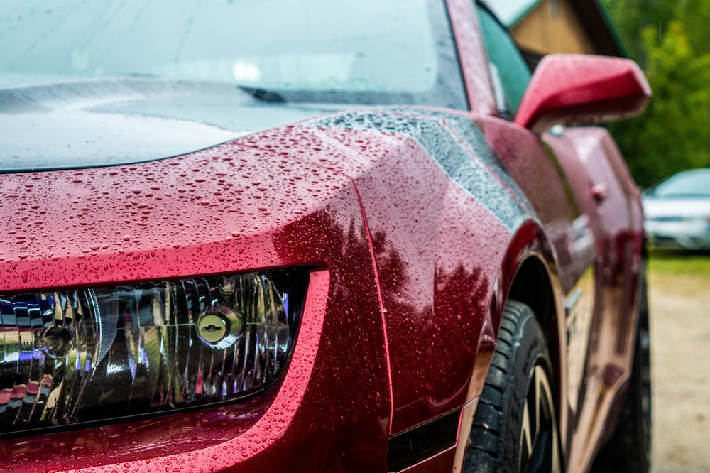 Photograph by Lindsay Panchuk