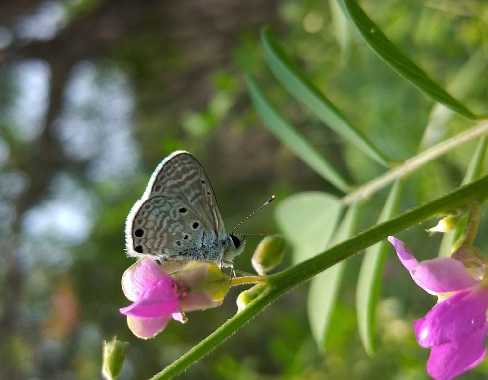 Photograph by Muhammed Salih Vp