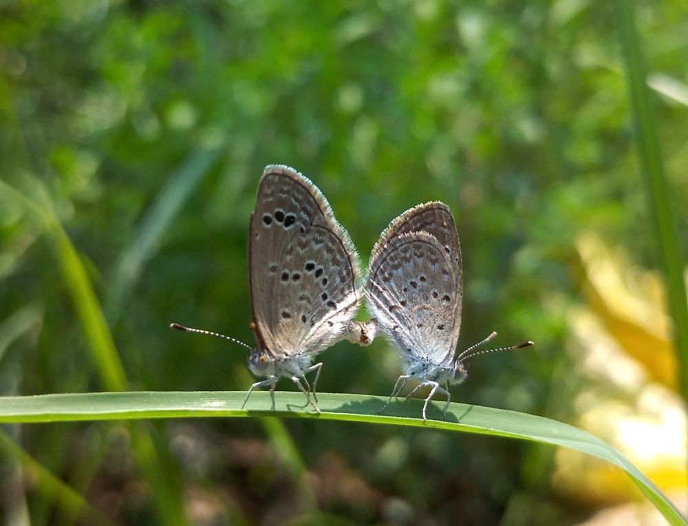 Photograph by Muhammed Salih Vp