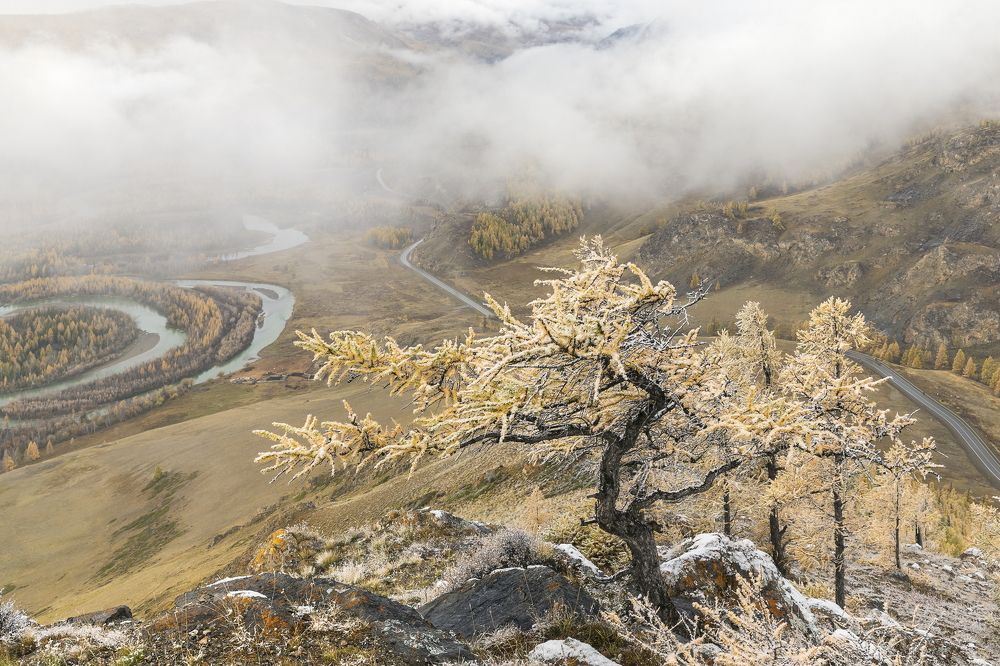 Photograph by Ярослав Лукьянов