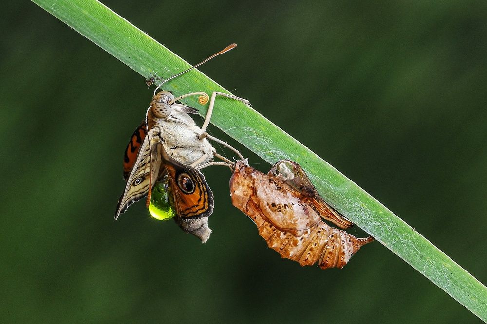 Photograph by Raju Ponaganti