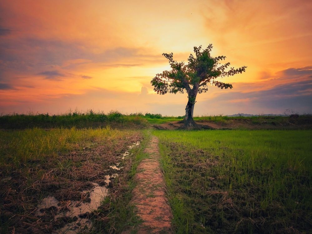 Photograph by Danny Boy Basaya