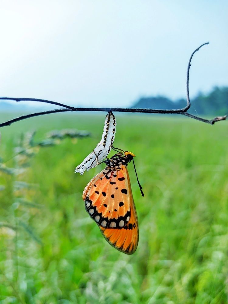 Photograph by Shihas Rasheed