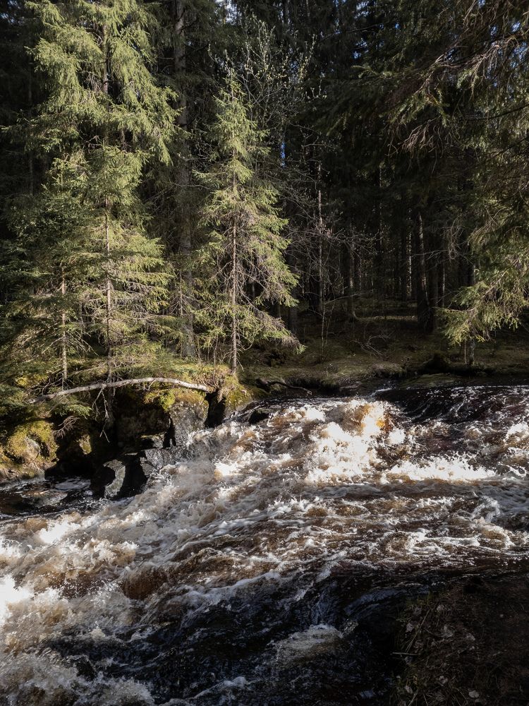 Photograph by Алексей Попович