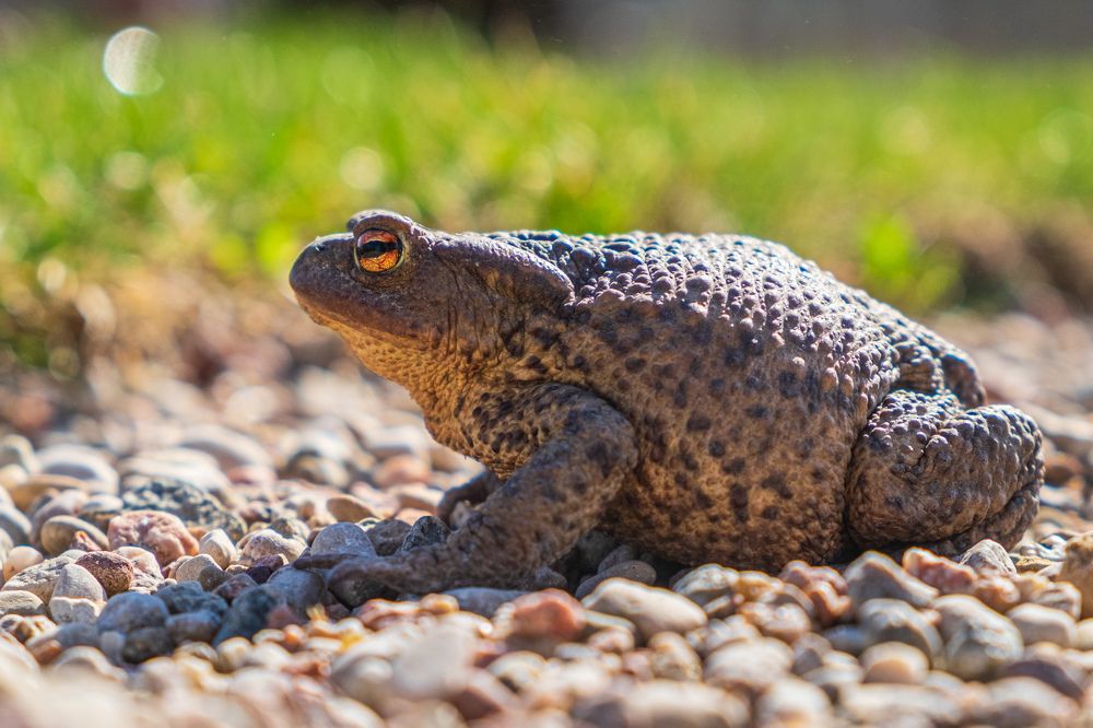 Photograph by Наталия Морозова