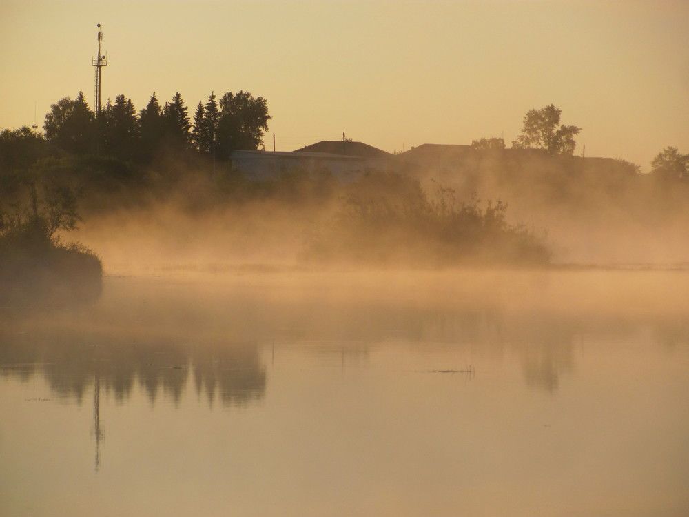 Photograph by Петр Нефедьев