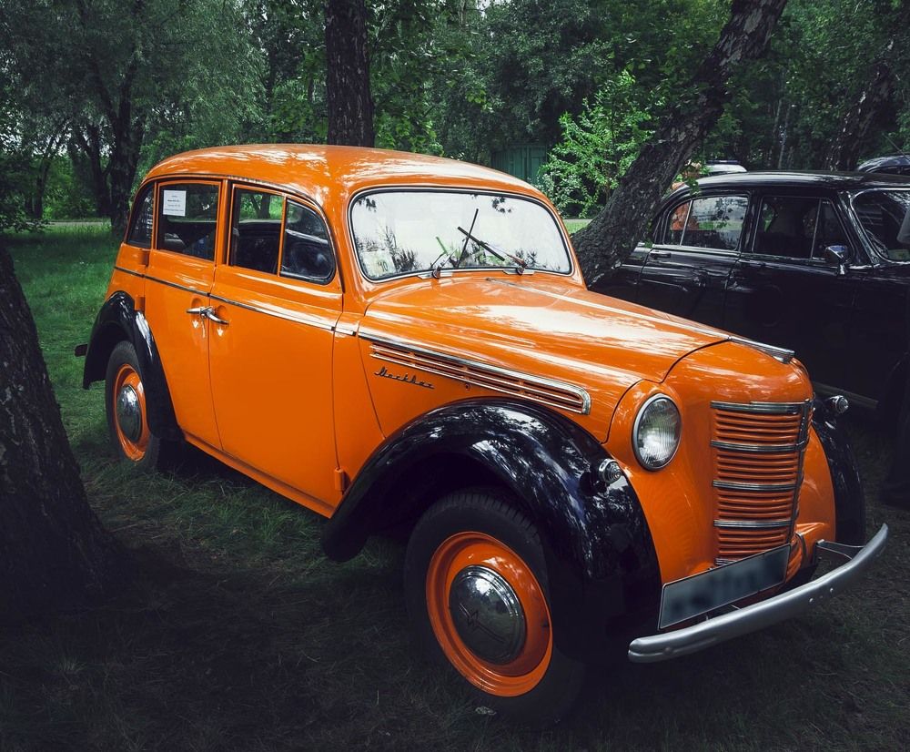 Фотография автора Татьяна Добровольская