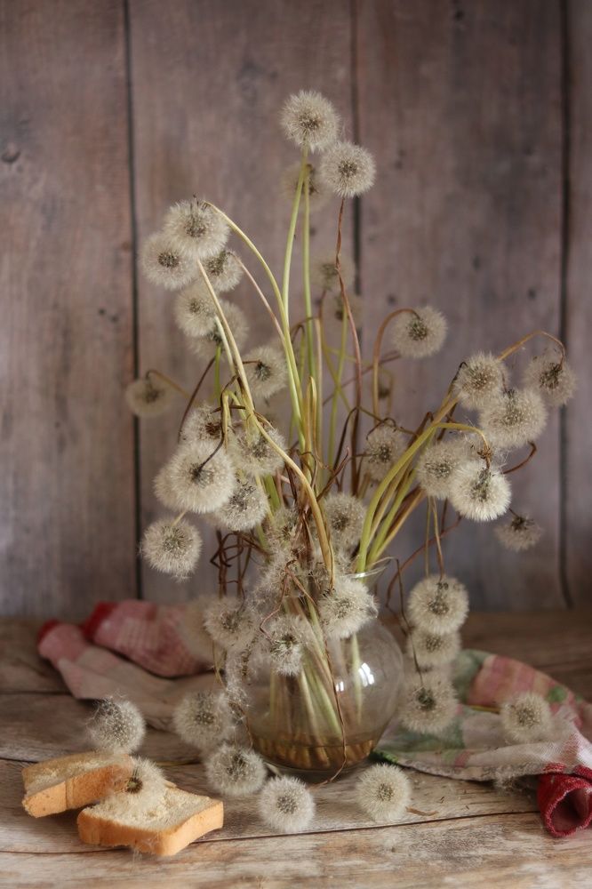 Photograph by Марина Савченко