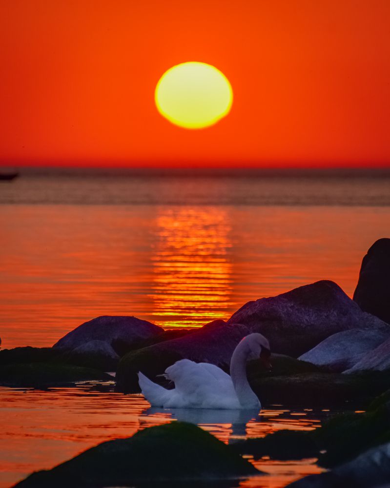 Photograph by Василий Кашперук