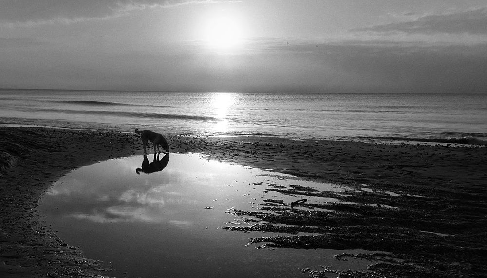 Photograph by 