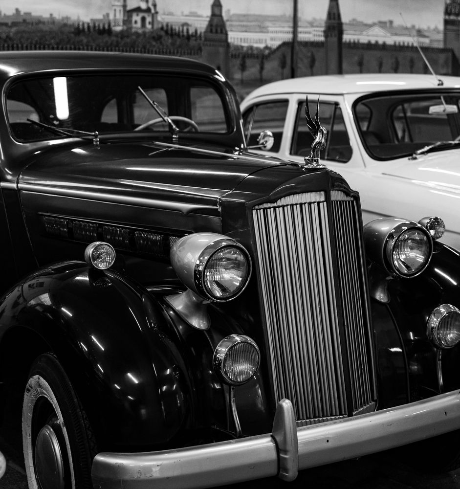 Photograph by Karpenko Denis