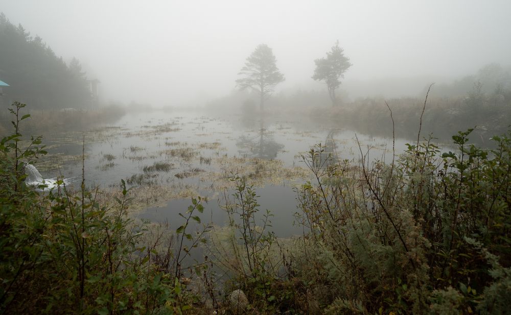 Photograph by Юрий Гаврилов