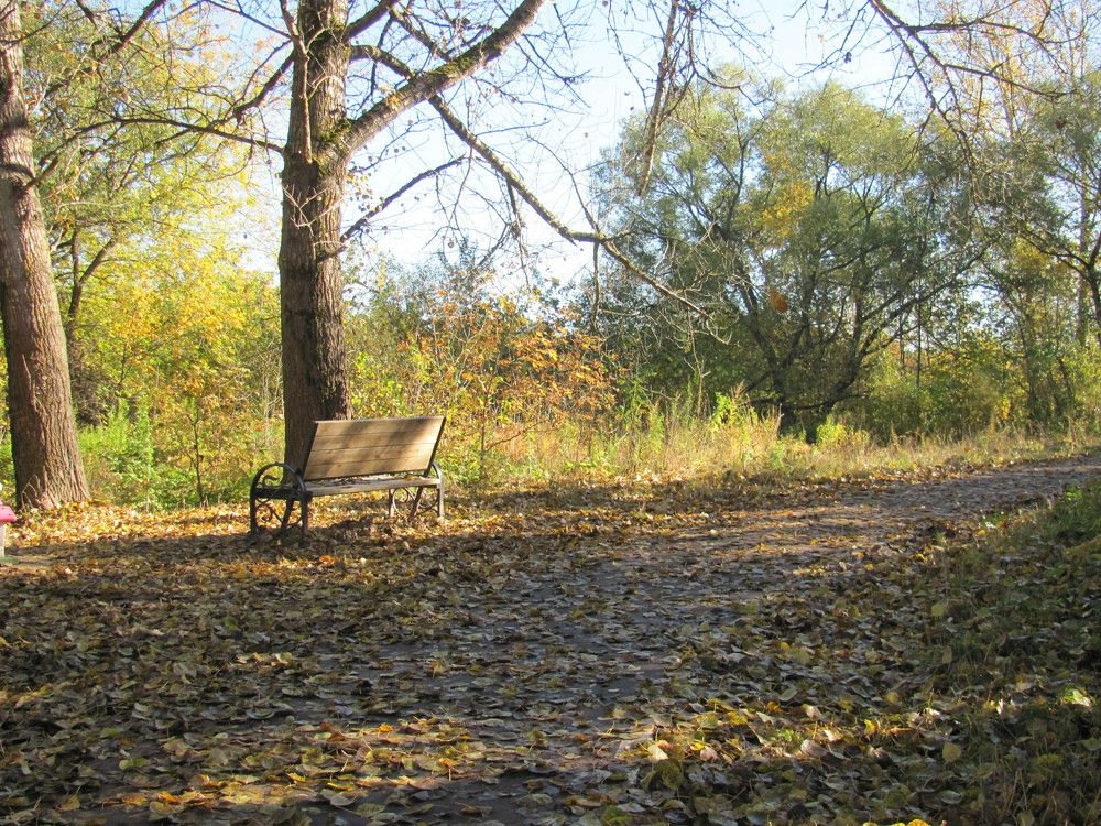 Photograph by Юлия