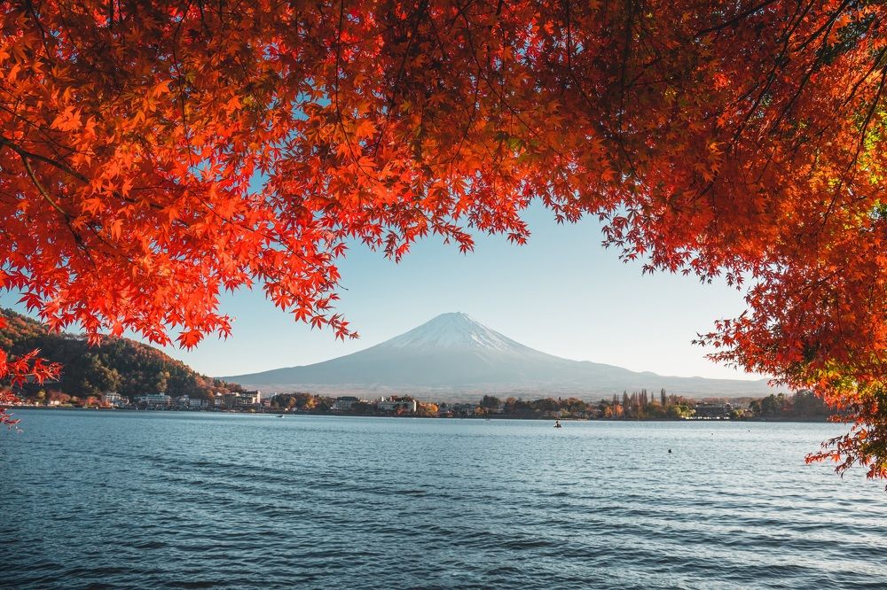 Photograph by Quang Dieu Le