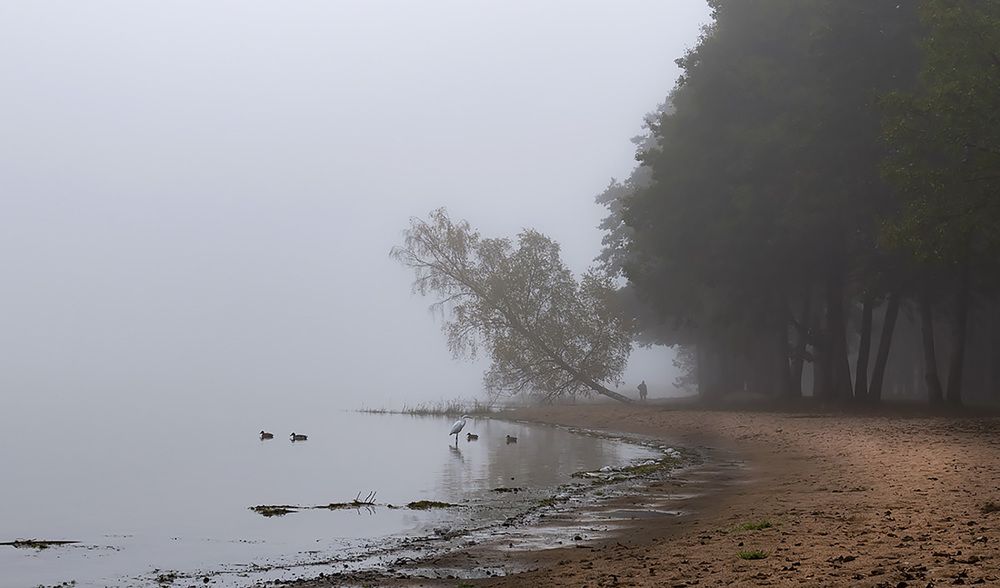 Photograph by Рихард Мисан