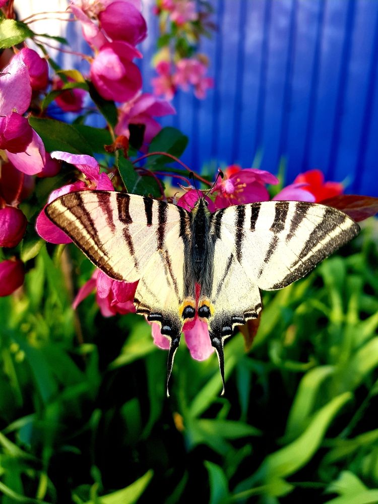 Photograph by Руслан Гордиенко