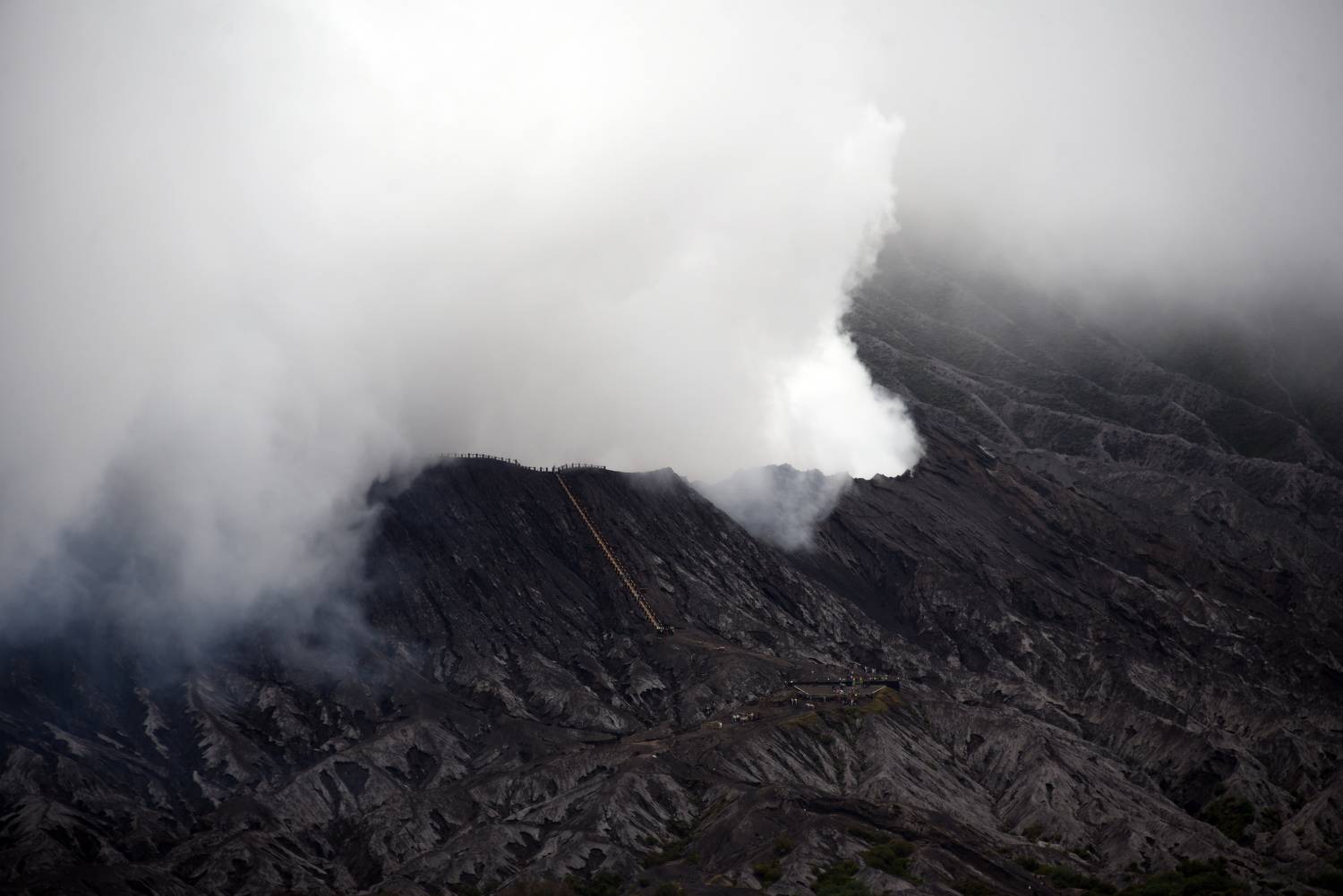 Photo #9174011