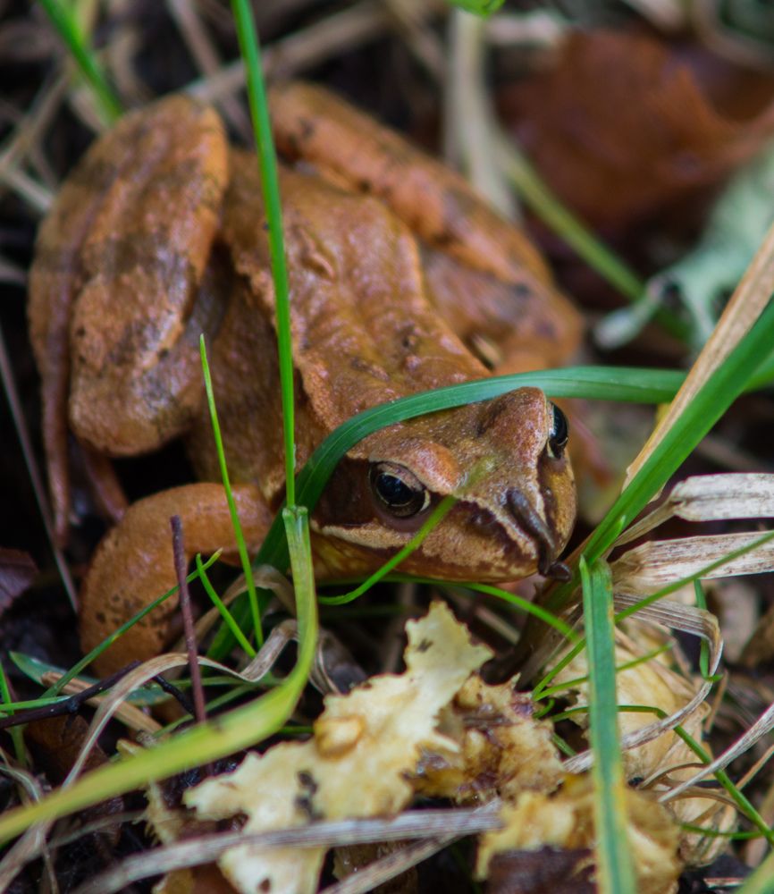 Photograph by Alexey Olkhovenko