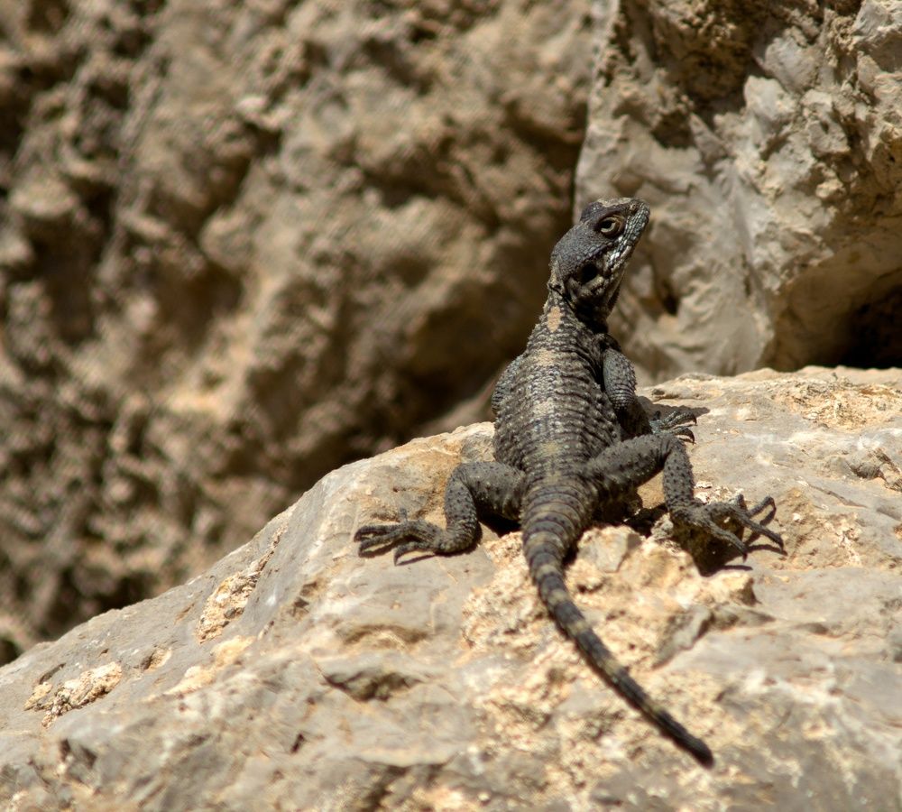 Photograph by Alexey Olkhovenko