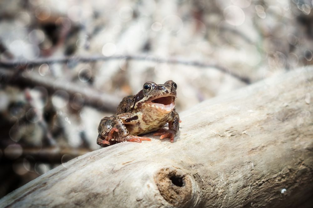 Photograph by Соколова Елена