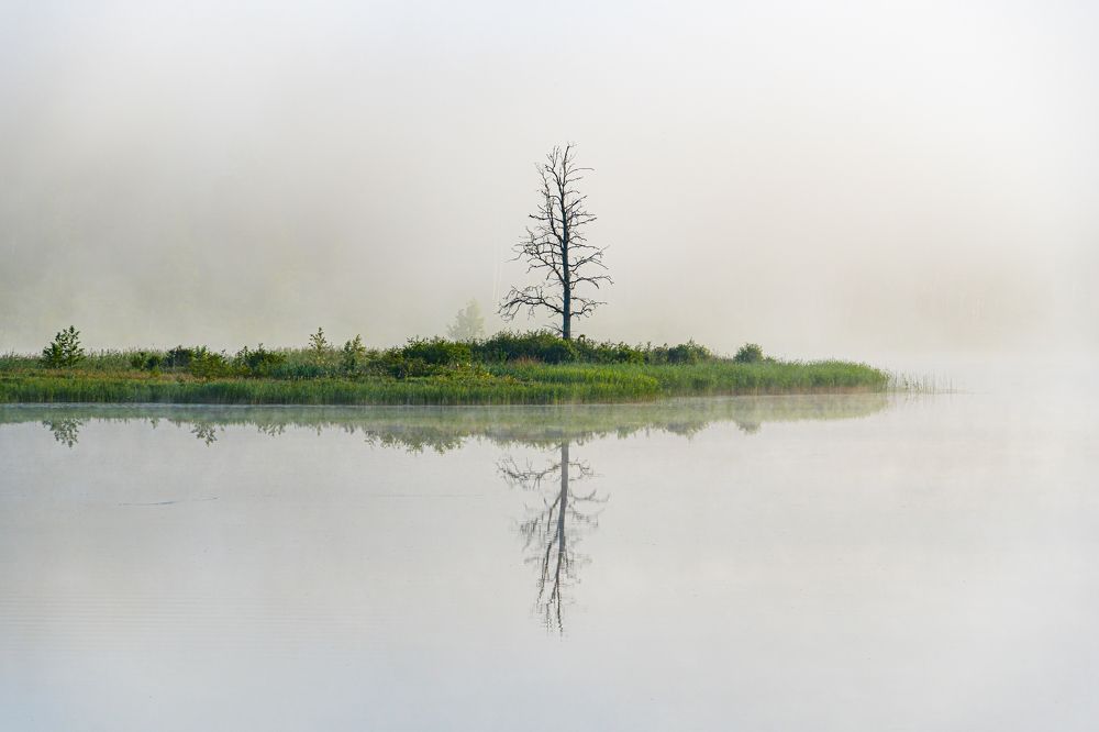 Photograph by Valdis Serzhans