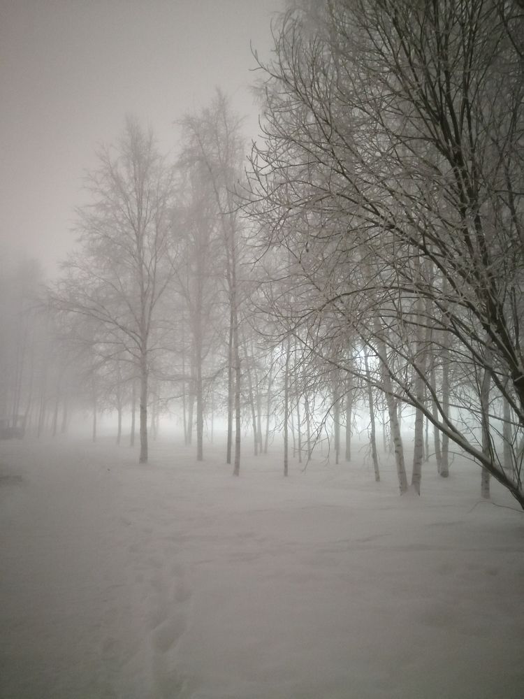 Photograph by Виталий Са