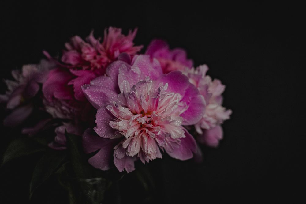 Photograph by Наталия Царёва