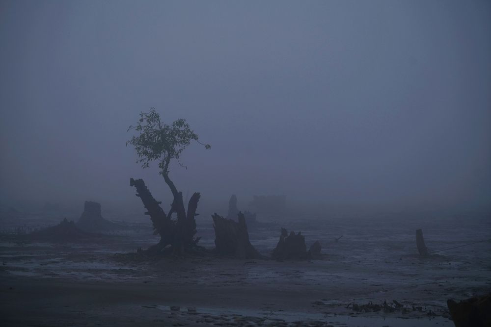 Photograph by Sanyat Turjo