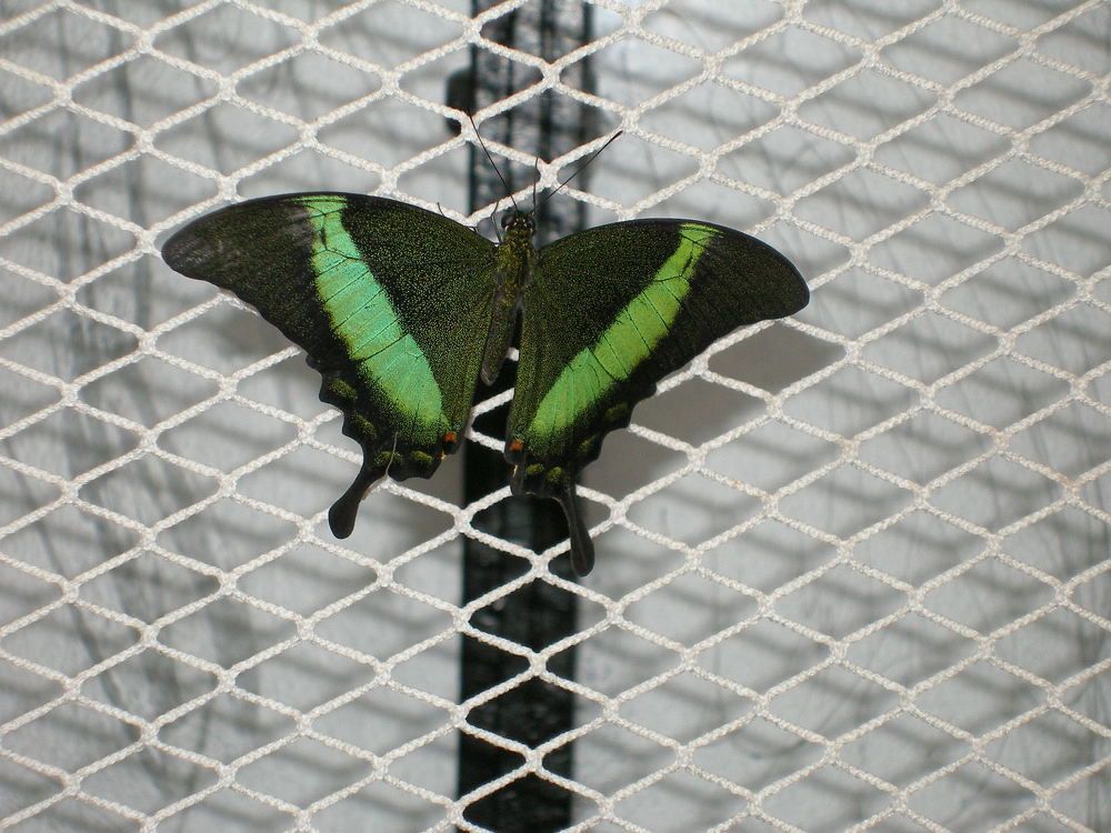 Photograph by Виталий Са