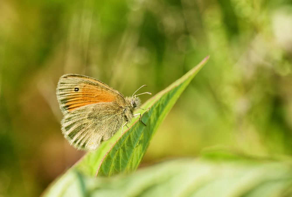 Photograph by Александр Клопков