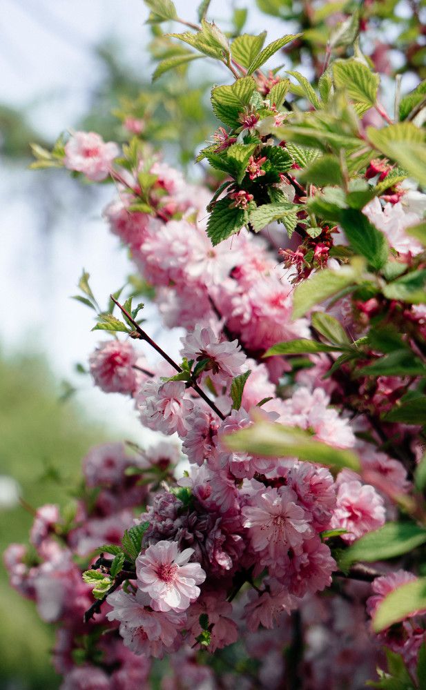 Photograph by Наталия Софич