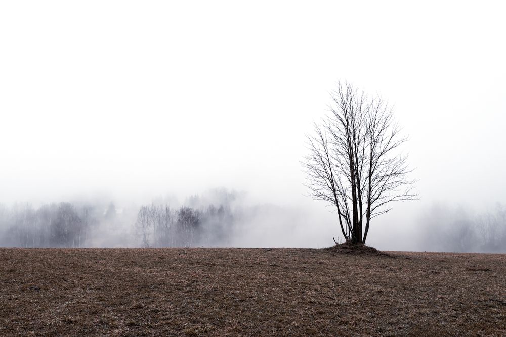 Photograph by Helen Mountaniol