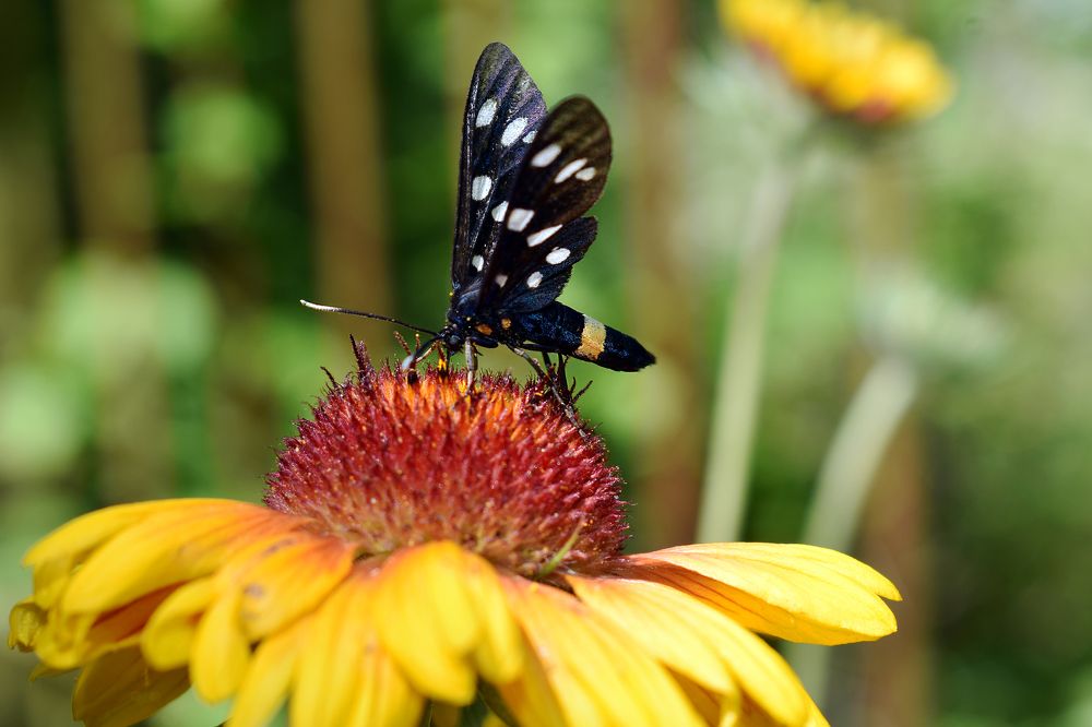 Photograph by Nina Streapan