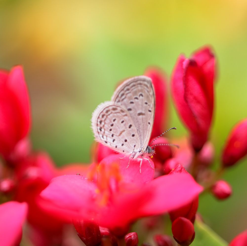 Photograph by Lakshya Sharma