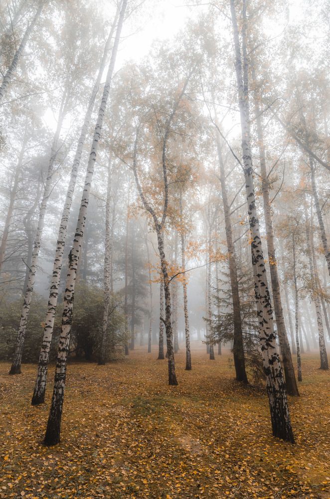 Photograph by Савенко Кирилл