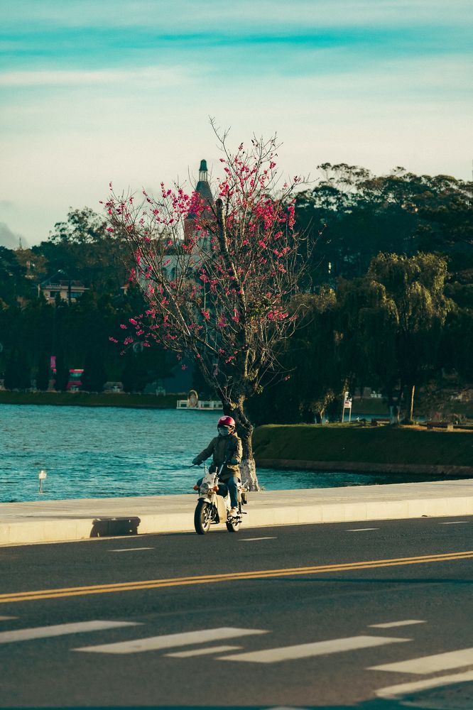 Photograph by Dang bui