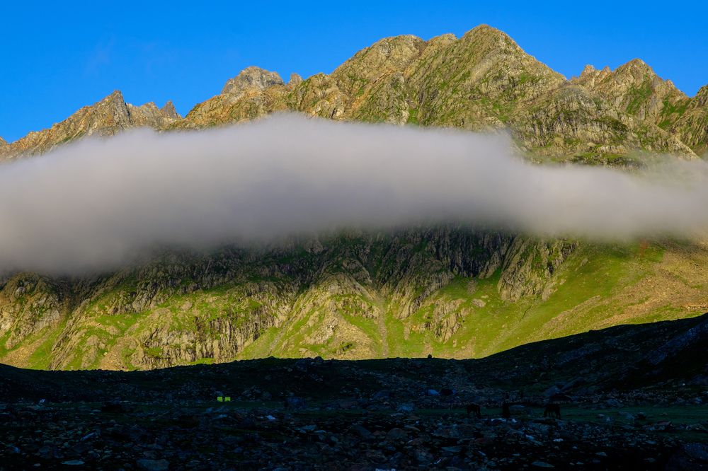 Photograph by Darshan Shah