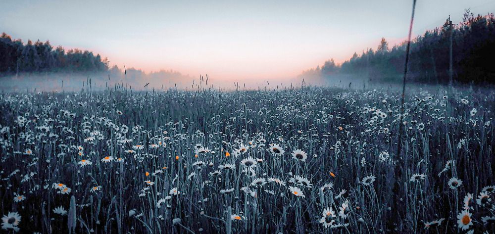 Photograph by Павел Быков