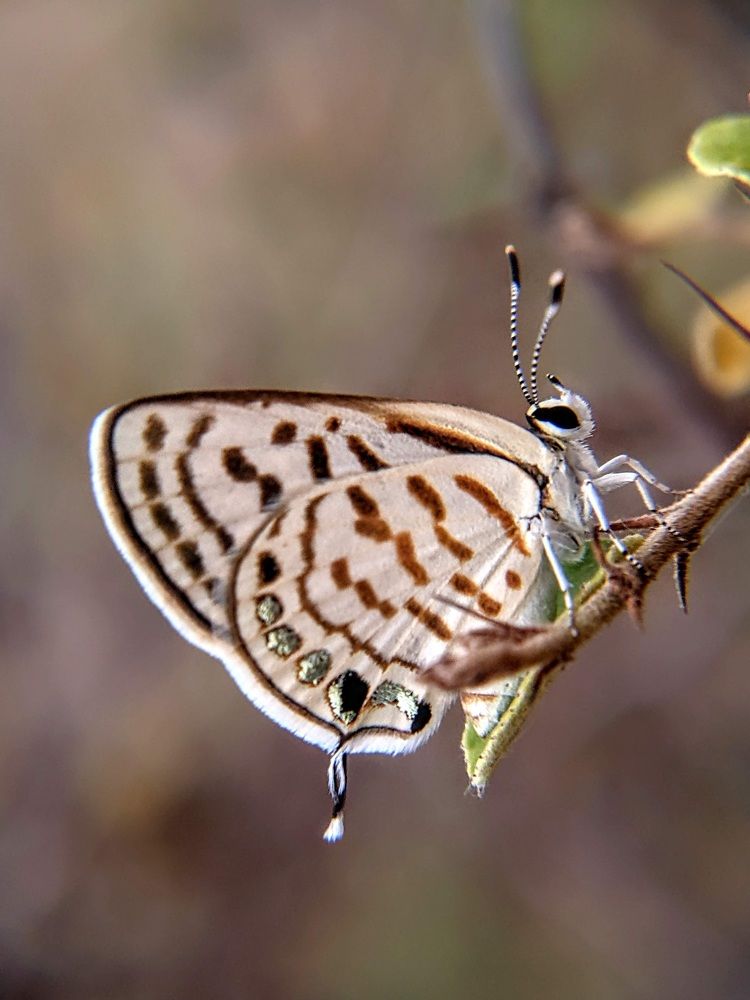 Photograph by Sai Krishna