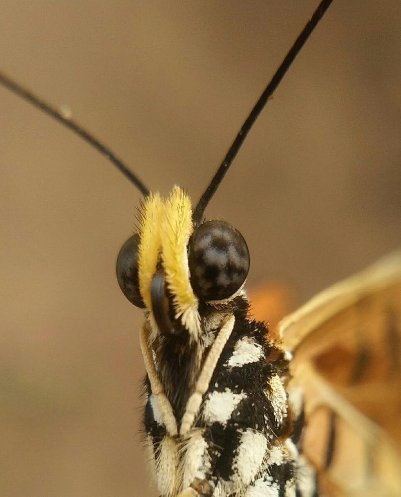 Photograph by Sai Krishna