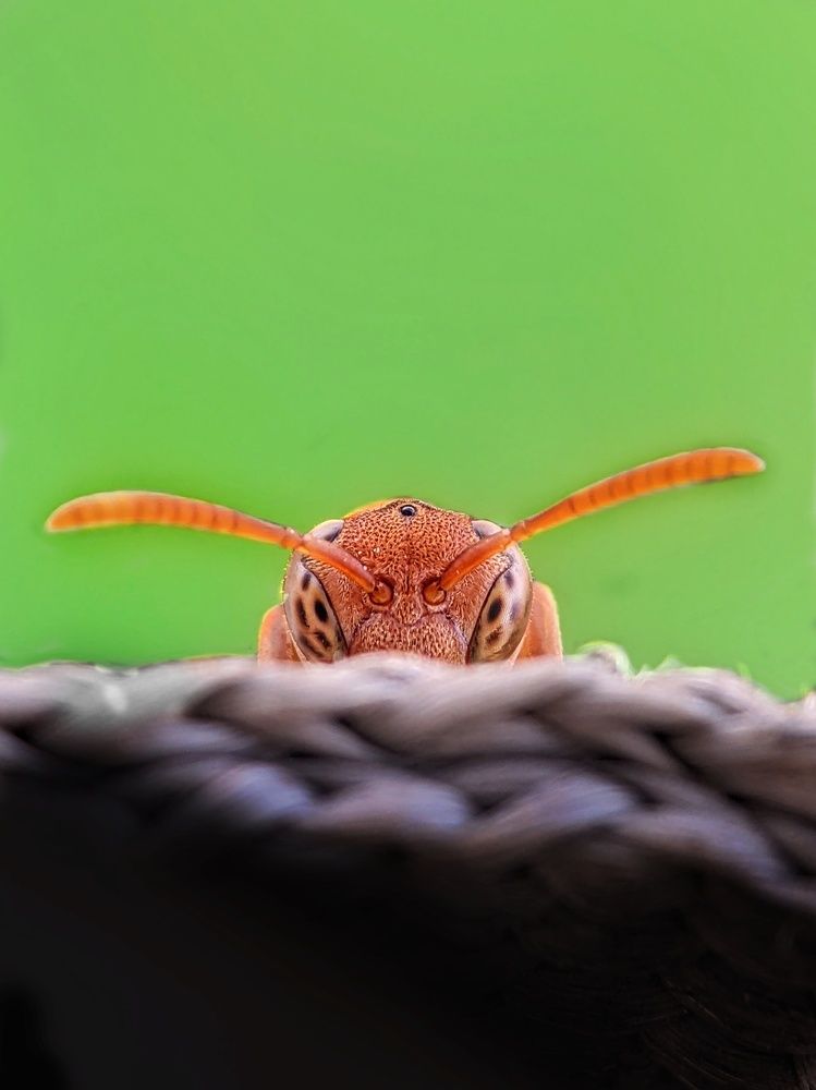 Photograph by Sai Krishna