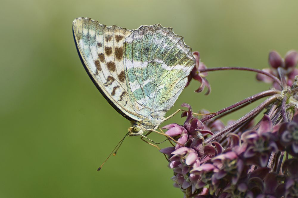Photograph by Валерий