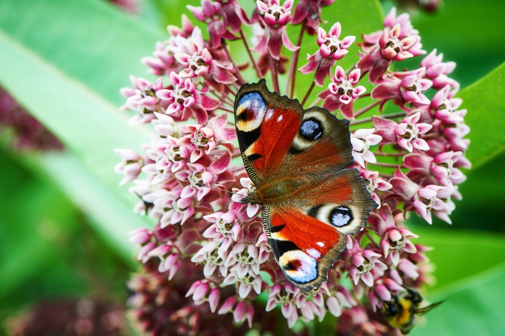 Photograph by Валерий