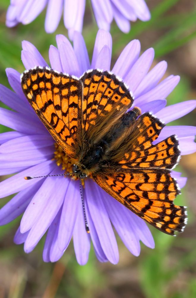 Photograph by Юрий Варюхин